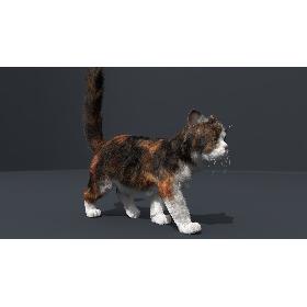 Cat Fur Animated1 3D model